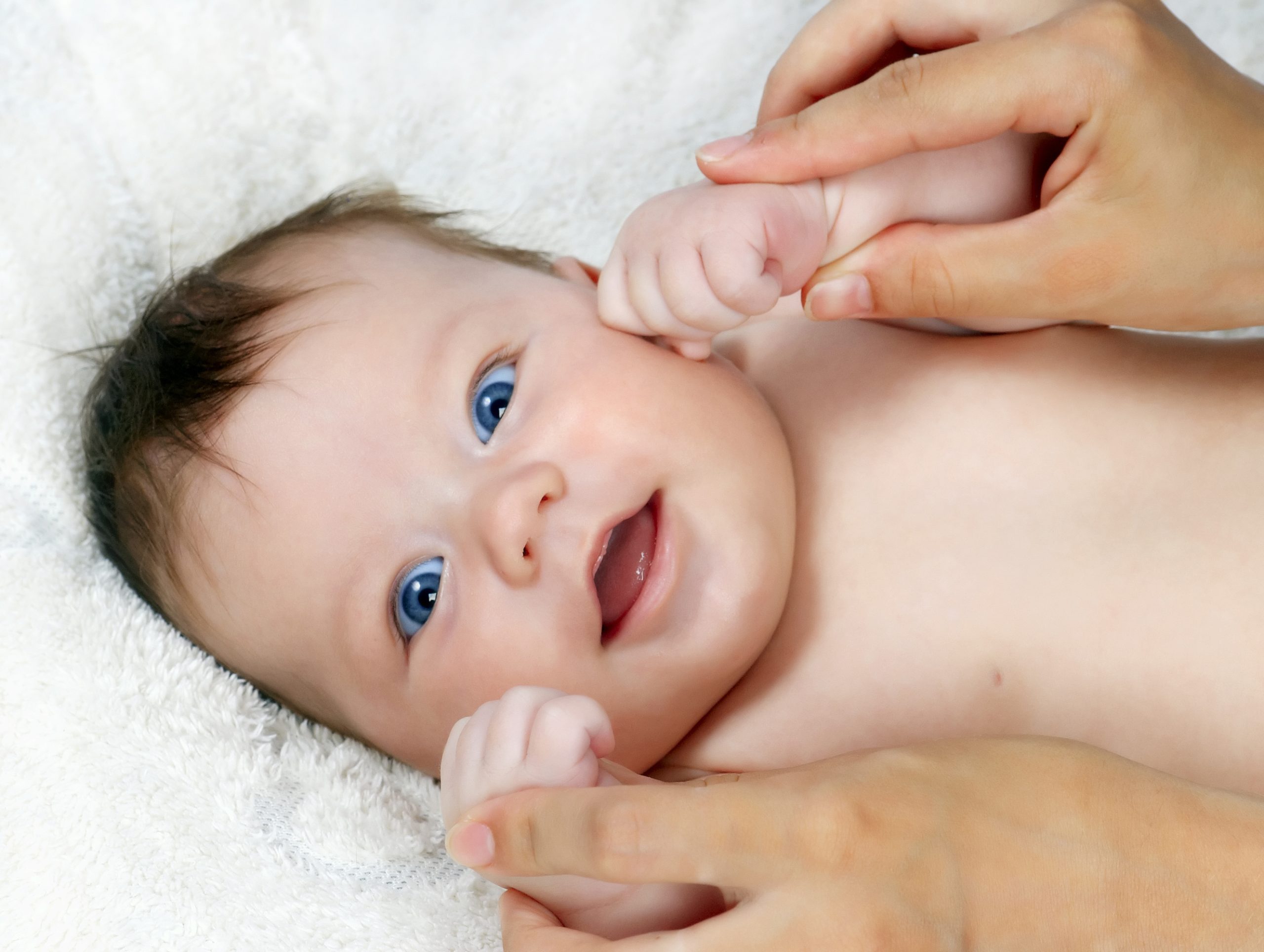 shutterstock_82467808
